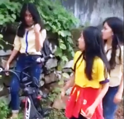 Sẽ báo cáo UBND tỉnh vụ nữ sinh đánh nhau tung clip lên mạng