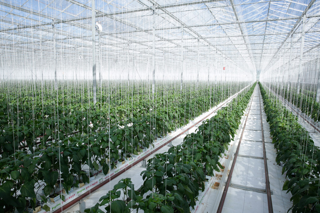 LHQ Nông nghiệp cần chuyển đổi thích ứng với sự biến đổi khí hậu