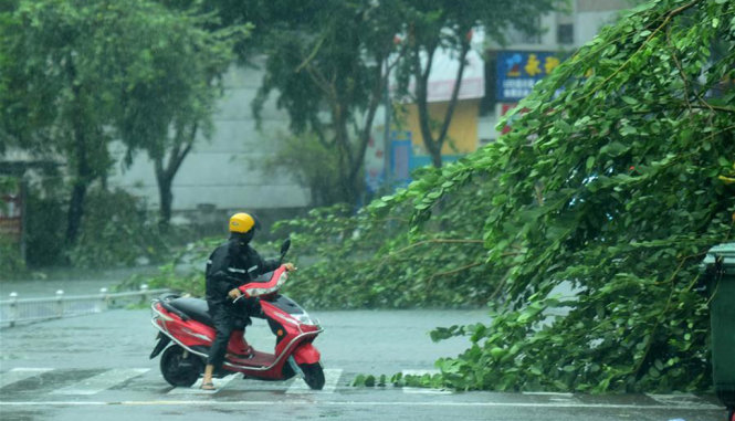 Chùm ảnh bão Sarika đổ bộ đảo Hải Nam