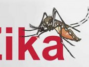 Người đàn ông đầu tiên ở TP HCM nhiễm virus Zika