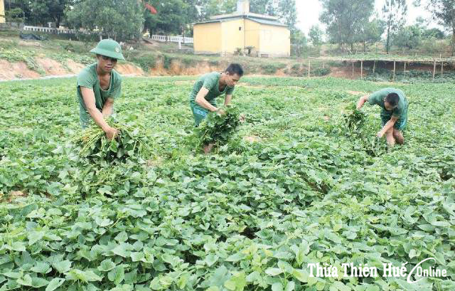 Chăm lo đời sống bộ đội