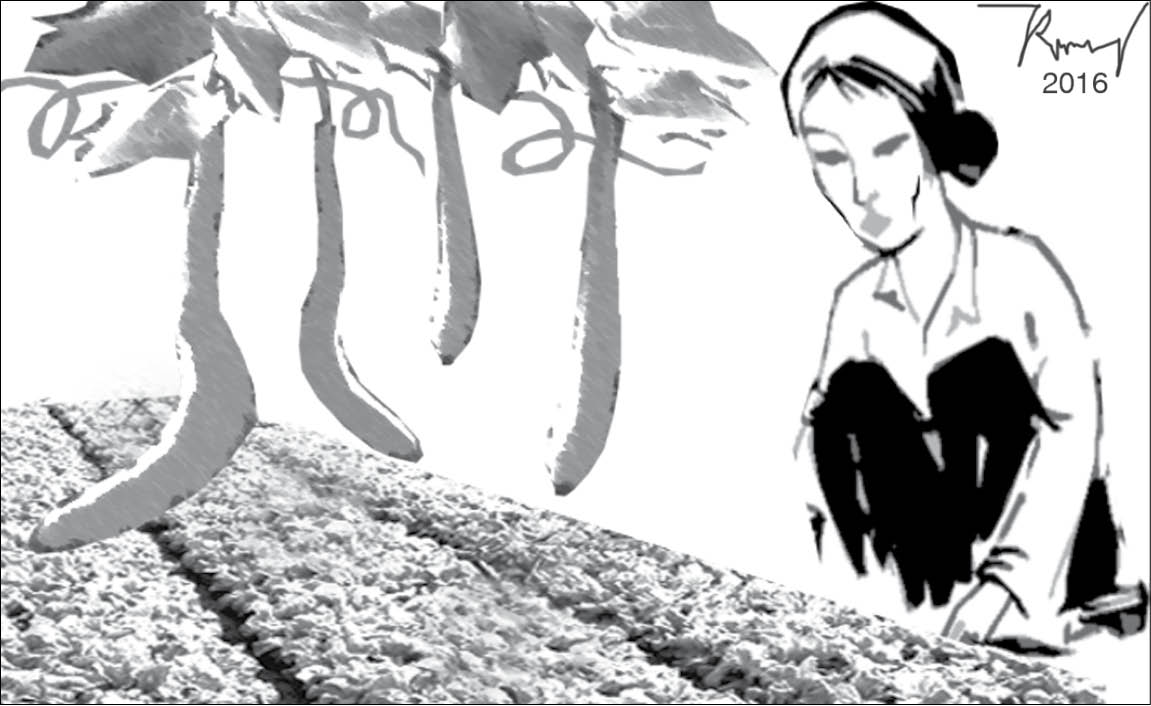 Vườn rau quê nhà