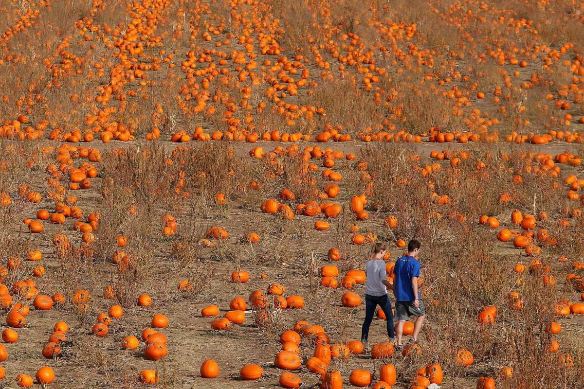 Halloween vòng quanh thế giới