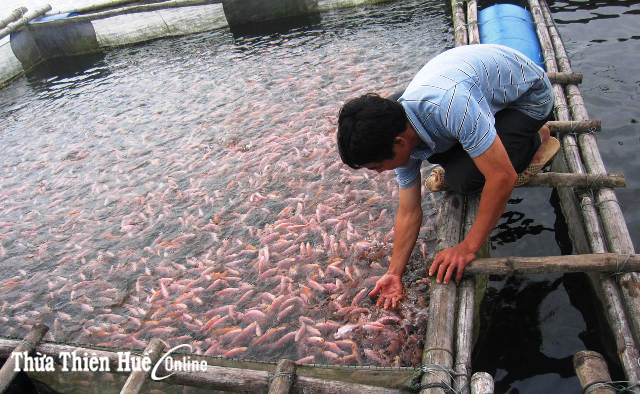 Đoàn kết, hướng về cơ sở