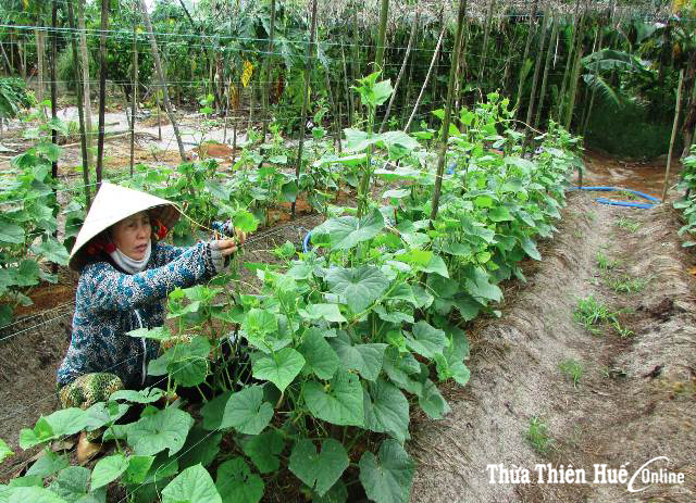Tạo nguồn từ các phong trào