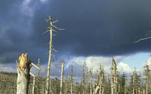 Thổ Nhĩ Kỳ lo ngại mưa acid do IS gây ra