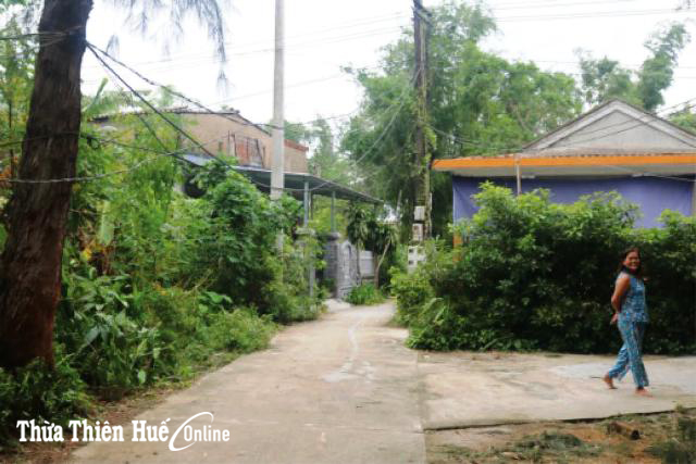 Dây điện chạy sát nhà, người dân kêu cứu