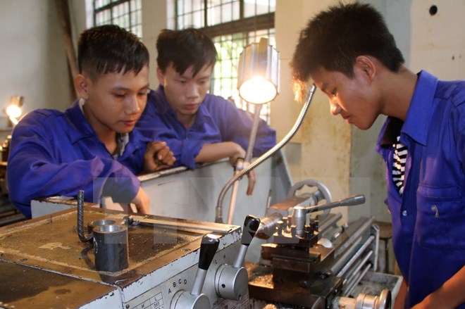 Hơn 500 trường cao đẳng, trung cấp thuộc về Bộ LĐ-TB XH