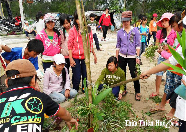 Xanh hóa sân trường