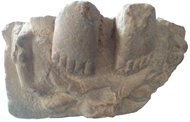 Bí ẩn con trâu  đôi bàn chân của nữ thần