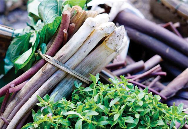 Mát lành canh môn rau ngổ