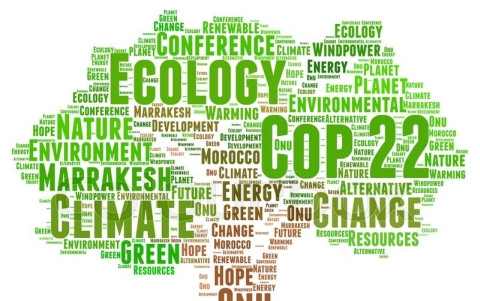 200 quốc gia tái xác nhận ủng hộ Thỏa thuận Khí hậu Paris tại COP 22