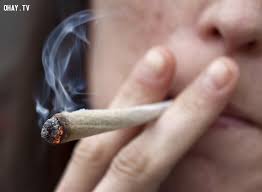 Xây dựng môi trường không khói thuốc tại các nhà hàng, khách sạn