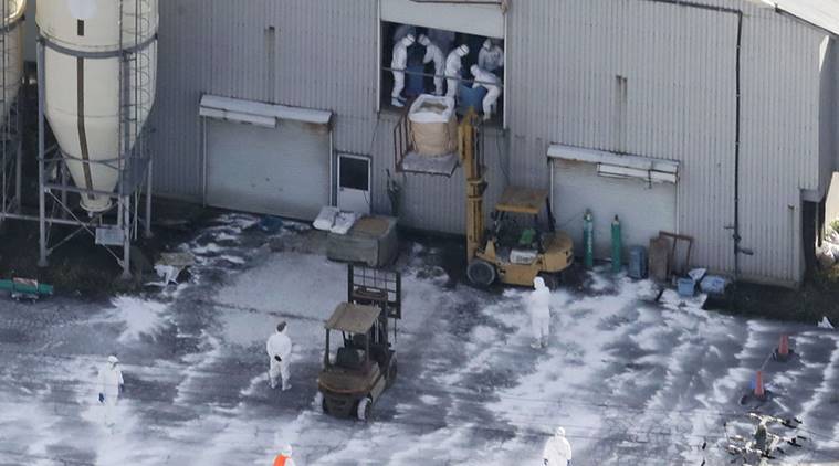 Nhật Bản phát hiện ổ cúm gia cầm thứ ba trong vòng chưa đầy một tuần