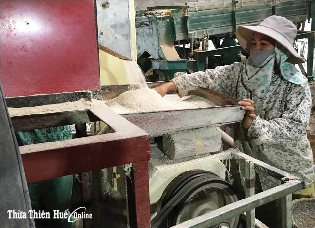 Máy xay gạo giảm thiểu ô nhiễm môi trường