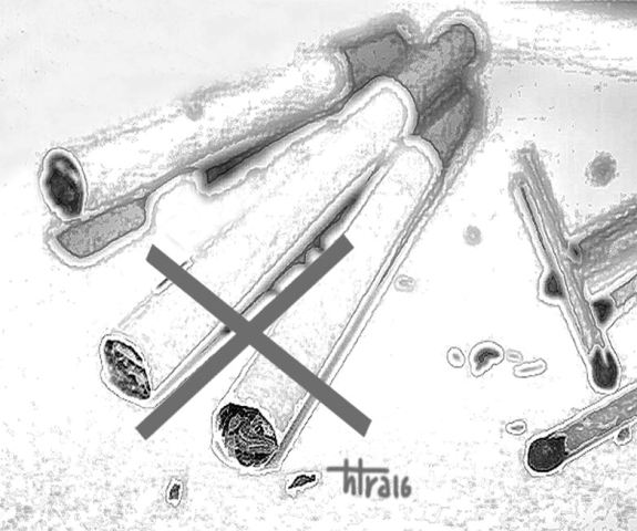 Phát huy vai trò già làng, trưởng bản