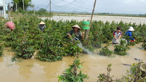 Bộ NN PTNT kiểm tra thiệt hại về nông nghiệp