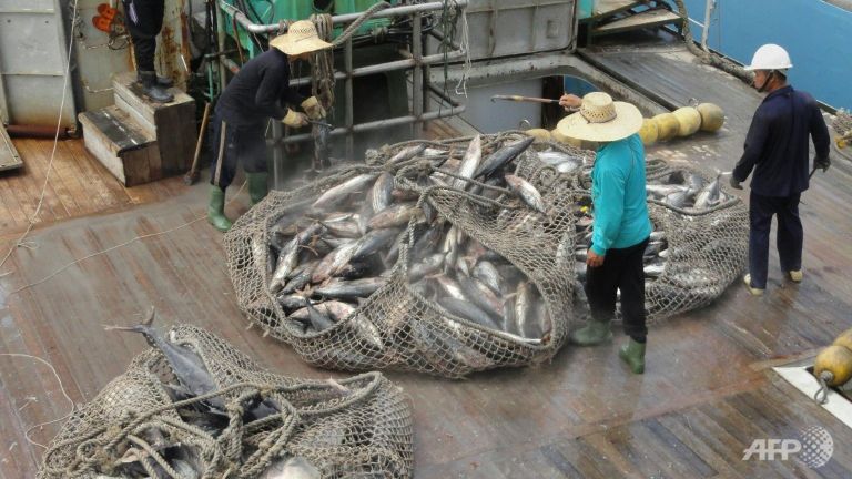 Hiệp định khí hậu Paris có thể bảo vệ sinh kế đánh bắt cá