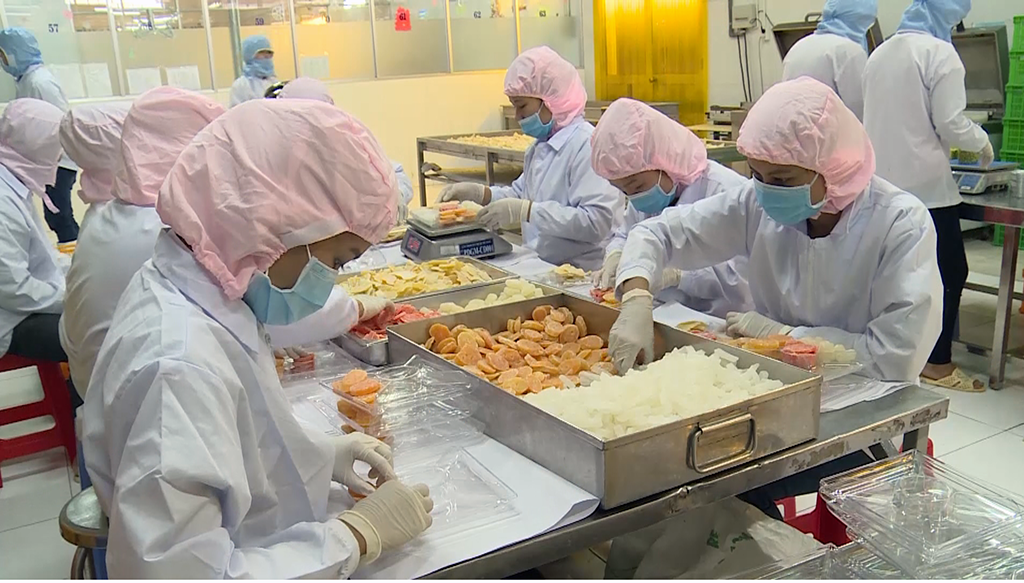 Doanh nghiệp xuất khẩu đặc sản Tết “khóc ròng” vì thiếu nguyên liệu