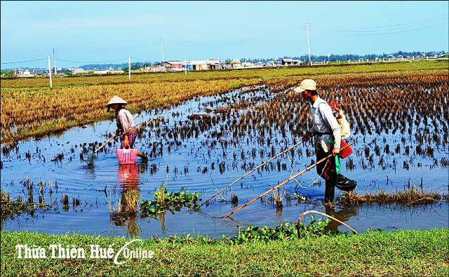 Đánh bắt thủy sản bằng xung điện Cần xử lý nghiêm
