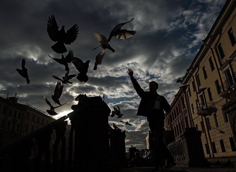 Thế giới qua những bức ảnh ngược sáng