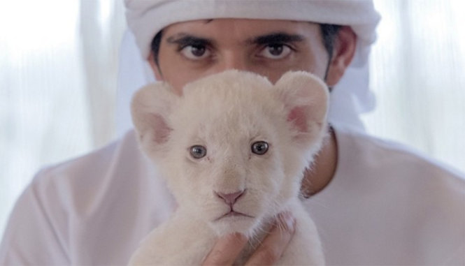 Dân UAE không còn được nuôi thú hoang dã