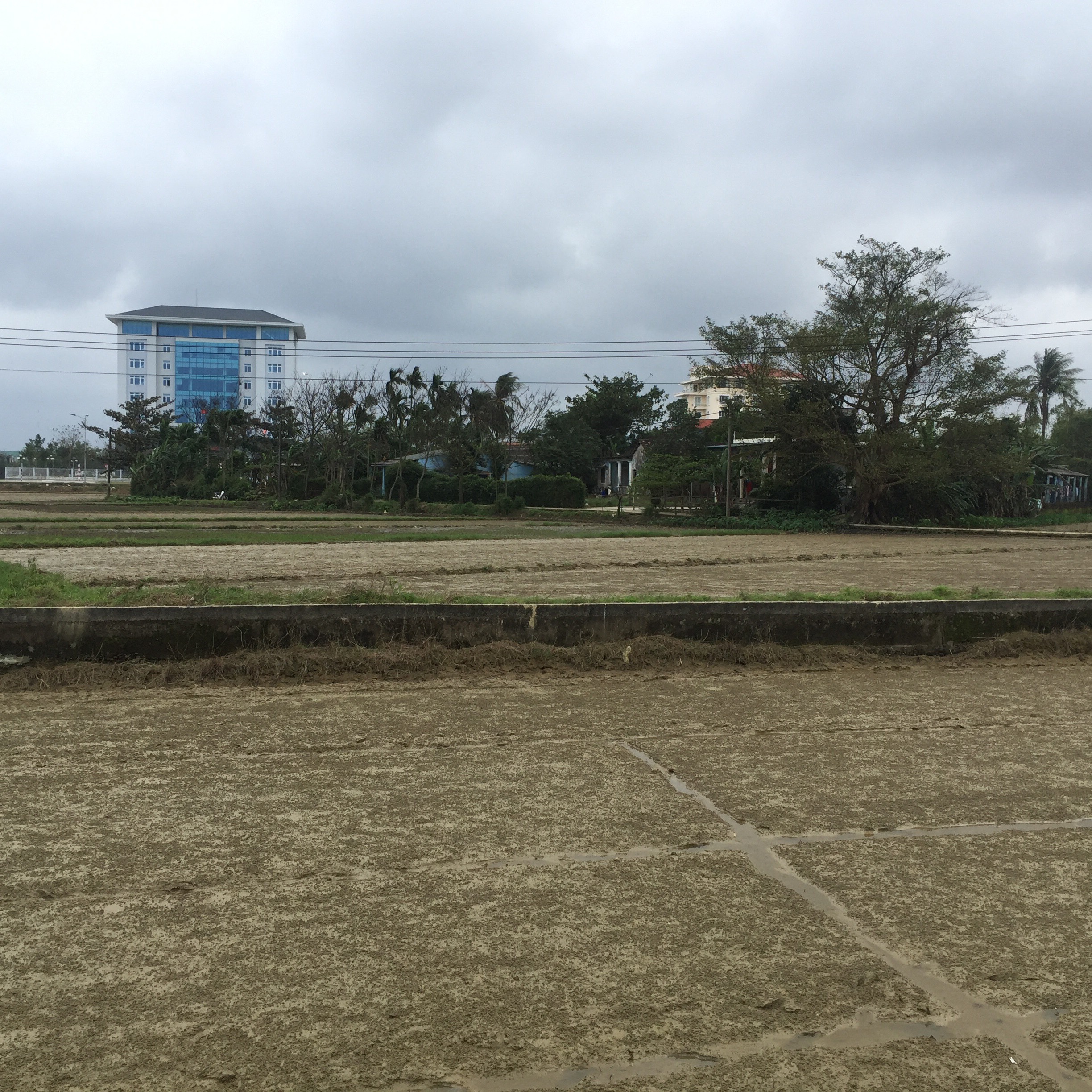 Sẽ bố trí tái định cư cho người dân ở khu vực 4 phường Xuân Phú