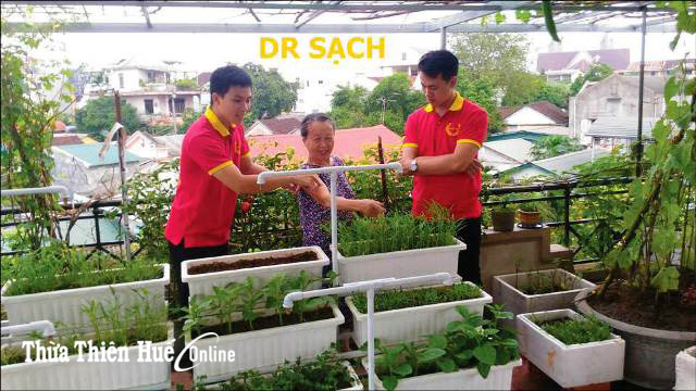 9X  “Dr sạch”