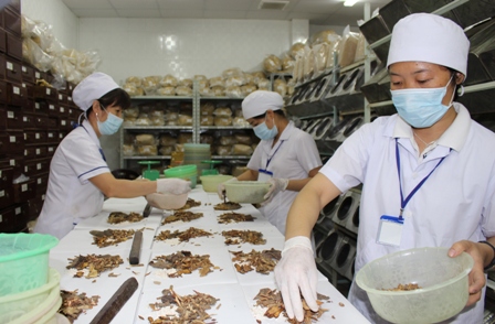 Đề xuất xây bệnh viện Y học cổ truyền Việt Trung