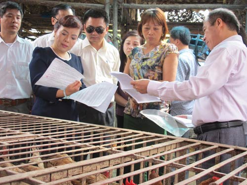 Chủng virus cúm độc lực cực cao chưa từng thấy có thể tràn vào VN