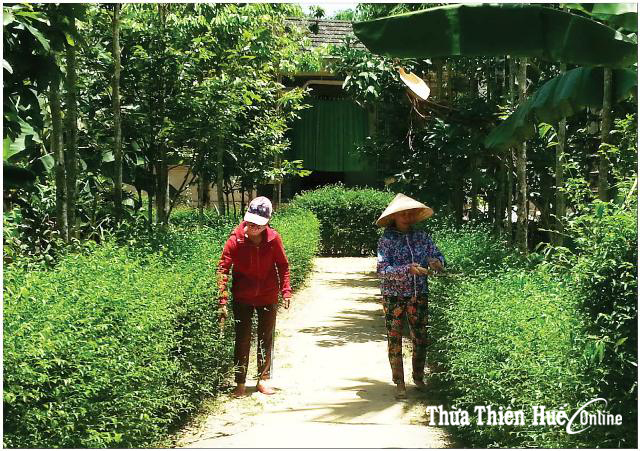 Bằng cả tấm lòng