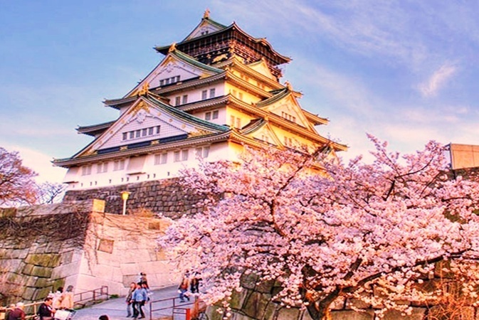 Đặc sắc mùa hoa anh đào tại Nhật Bản, Hàn Quốc, Đài Loan