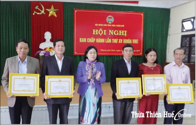 Chi bộ Hội Nông dân tỉnh Phê bình để phát triển