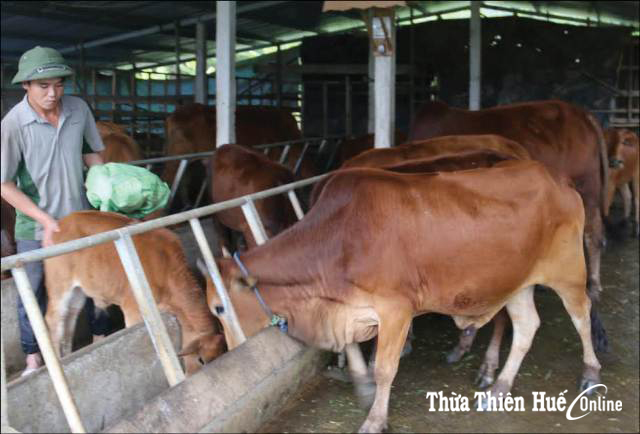 Tiếp sức cho đồng bào thoát nghèo