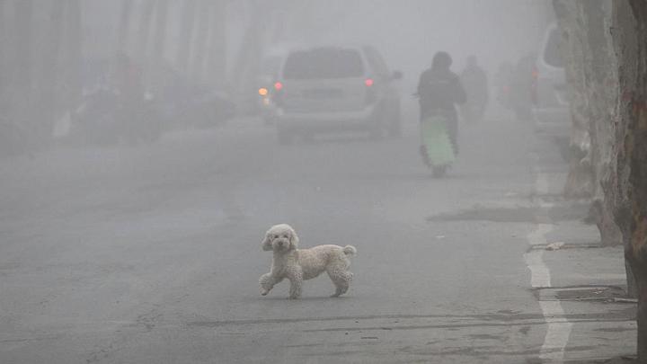 10 bức ảnh khắc họa đậm nét ảnh hưởng của ô nhiễm môi trường