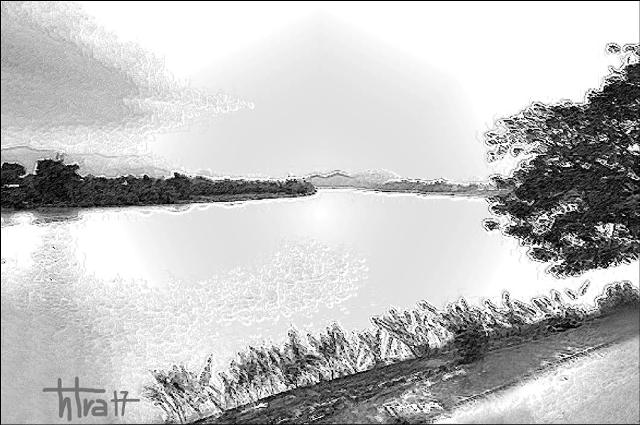 Đủ cho mùa xanh