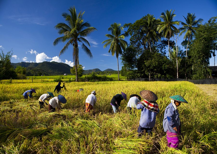 WB Thái Lan cần tạo nhiều việc làm và bảo vệ môi trường