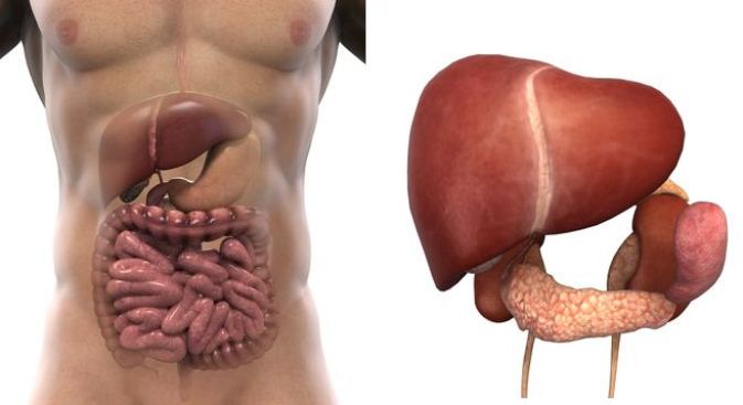 20 - 30 dân số Việt Nam mắc bệnh gan nhiễm mỡ