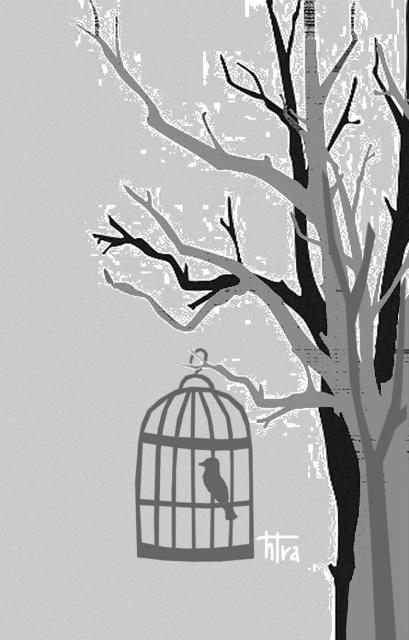 Tiếng chim giữa phố