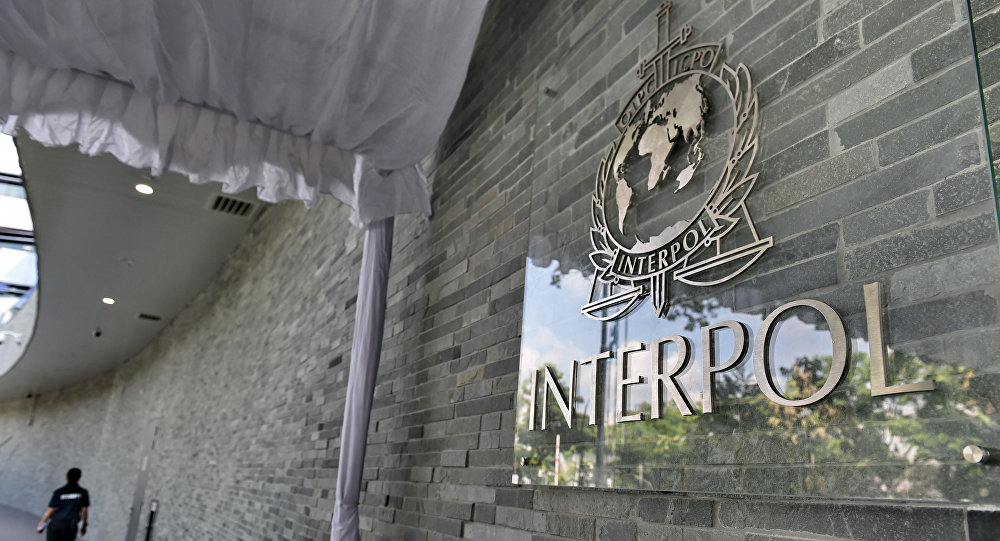 UAE đóng góp 55 triệu USD vào dự án chống khủng bố của Interpol