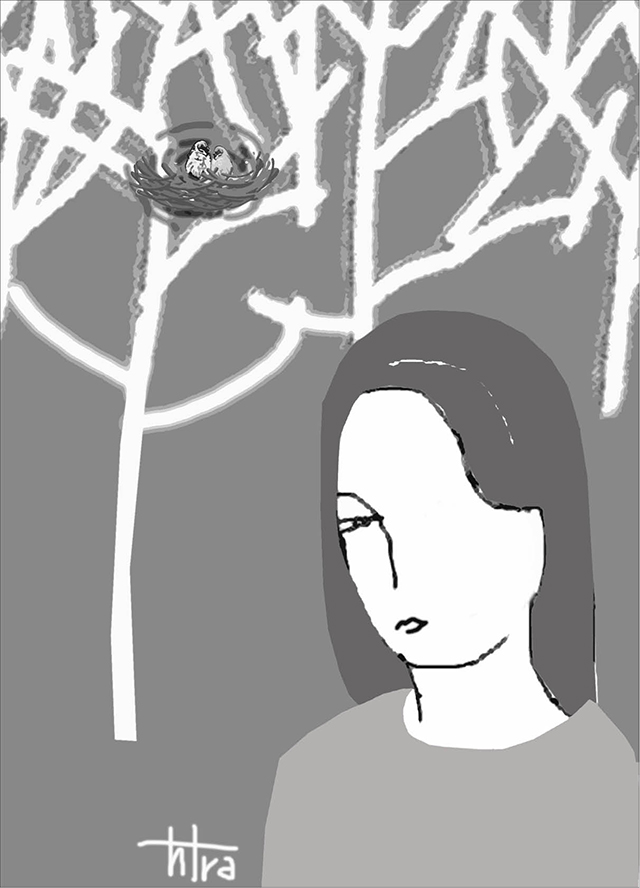 Tổ chim sẻ trên chạc cây