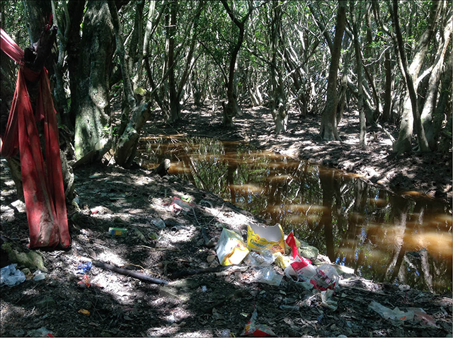 Hãy giữ hơi thở tự nhiên cho Rú Chá