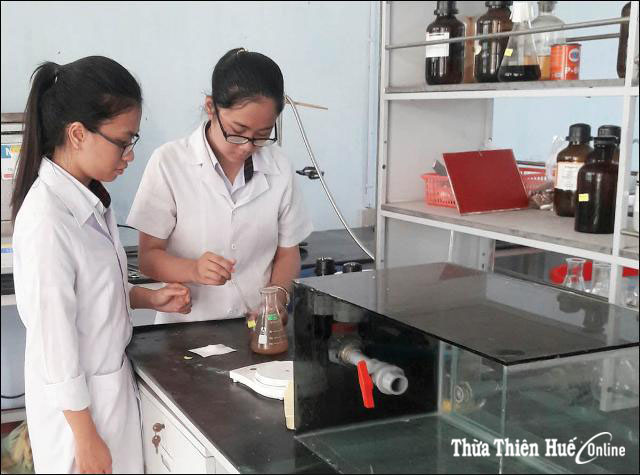 Túi sinh học, giải pháp hạn chế sử dụng túi ni lông
