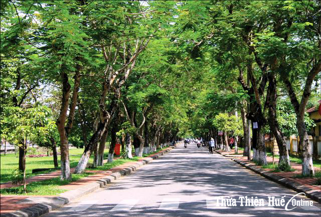 Thêm phố đêm Đoàn Thị Điểm