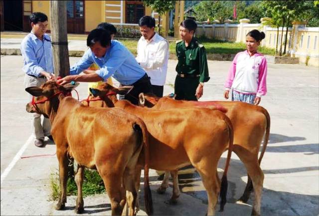Người nghèo Thượng Long học cách làm ăn