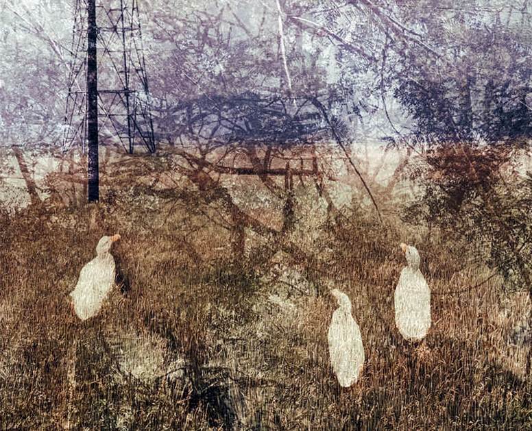 Chuyện chưa kể của Tuấn  Khánh