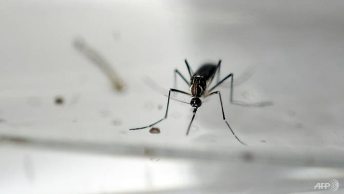 Ấn Độ xác nhận trường hợp nhiễm virus Zika đầu tiên