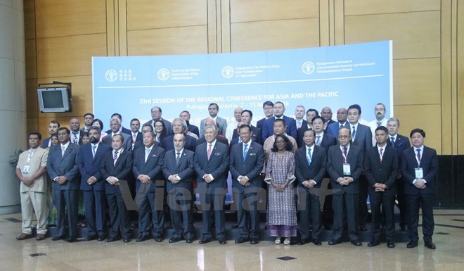 40 năm Việt Nam gia nhập LHQ Một điển hình về hợp tác phát triển
