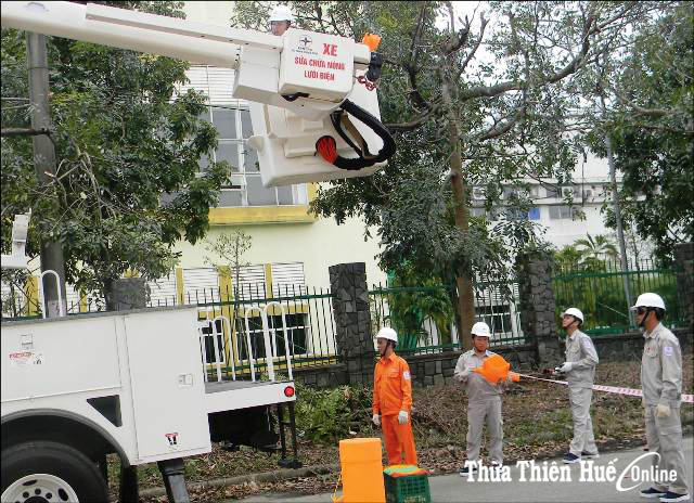 Mang lại nhiều tiện ích