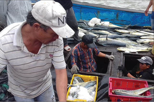 Hỗ trợ gần 5 tỷ đồng cho tàu cá